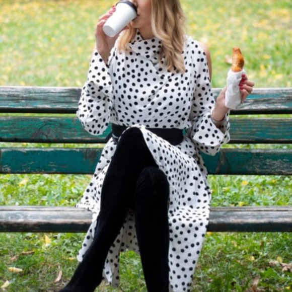 EUC Julia Allert + Wolf & Badger | Polka Dot Long Dress Chiffon - Picture 6 of 10